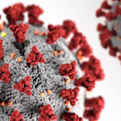 5 new cases of coronavirus in Samtskhe-Javakheti