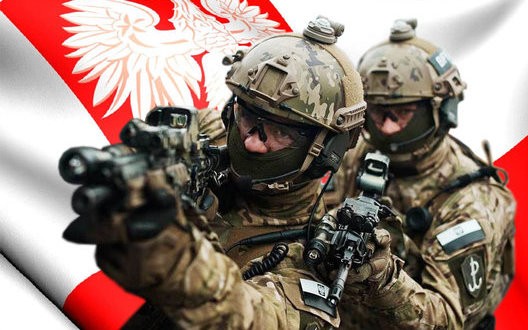 Польская армия увеличится в два раза: Дуда подписал закон «О защите Отечества» Польская армия увеличится в два раза: Дуда подписал закон «О защите Отечества»