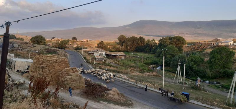 «Աջակցություն գյուղին» ծրագրի  աշխատանքները  Ախալքալաքի մունիցիպալիտետում
		11.08.2022 Sona Tonakanian Ախալքալաք