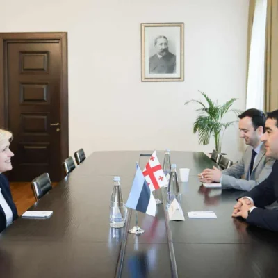საქართველოს პარლამენტის თავმჯდომარე ესტონეთის ახლად დანიშნულ ელჩს შეხვდა