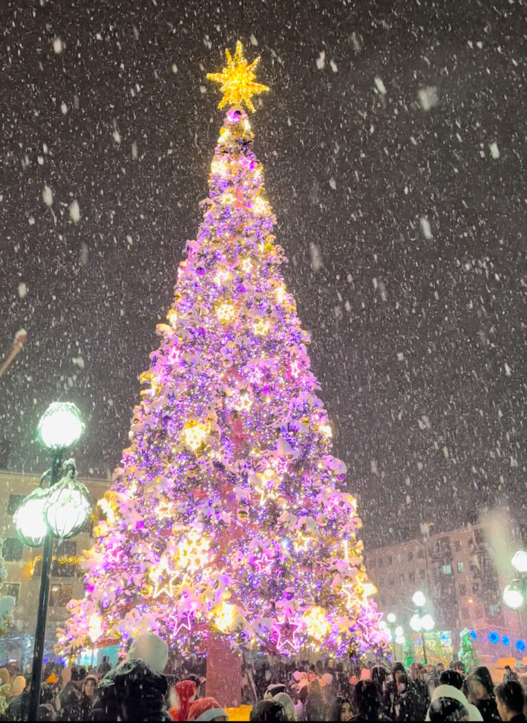 Ո՞վ է երգելու և որքա՞ն գումար է վճարելու Ախալցխայի քաղաքապետարանը Ամանորի համար