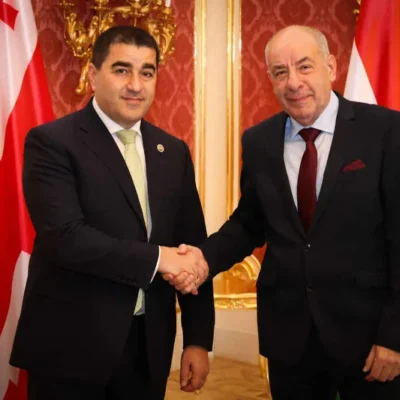 Շալվա Պապուաշվիլին հանդիպել է Հունգարիայի նախագահի հետ