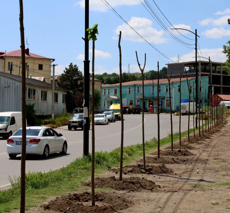 Ախալցխայում ընթանում են կանաչապատման աշխատանքներ