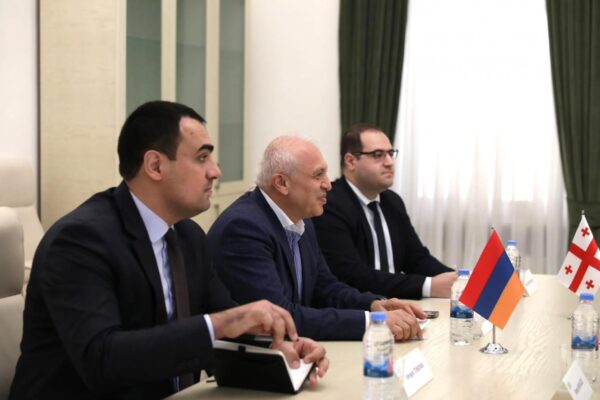 ՀՀ դեսպան Աշոտ Սմբատյանը հանդիպեց Վրաստանի խորհրդարանի մշակույթի հանձնաժողովի նախագահի առաջին տեղակալ Էկա Ճիճինաձեին