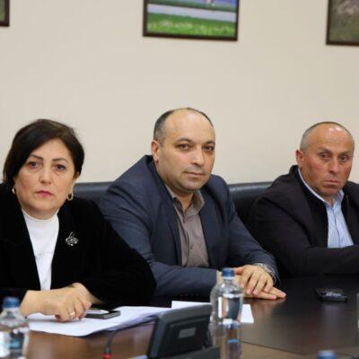 Սամցխե-Ջավախքում քննարկվել են ենթակառուցվածքային նախագծերն ու զարգացման ծրագրերը