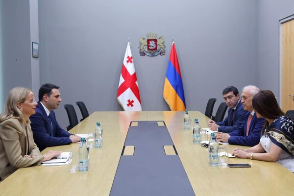 Հայաստանի և Վրաստանի սահմանային համագործակցությունն ու անցակետերում կուտակումների կանխարգելումը՝ քննարկման օրակարգում