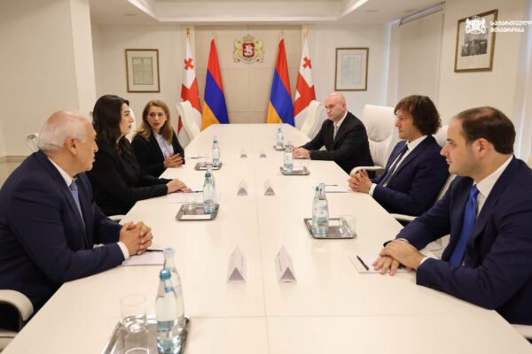 Իրակլի Կոբախիձեն հանդիպել է ՀՀ ներքին գործերի նախարար Արփինե Սարգսյանի հետ