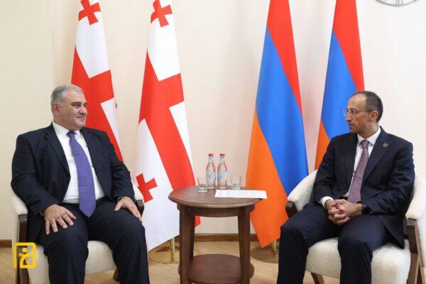 Արսեն Թորոսյանը հանդիպել է Վրաստանի աշխատանքի, առողջապահության և սոցիալական հարցերի նախարարին